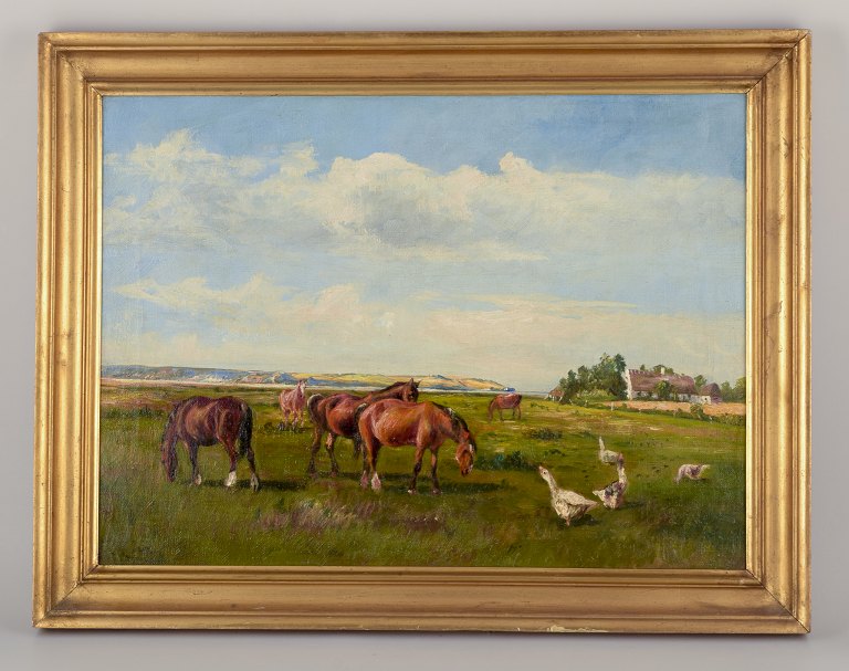 Niels Christiansen (1873-1960), dansk maler.
Olie på lærred.
Heste og gæs i dansk sommerlandskab.