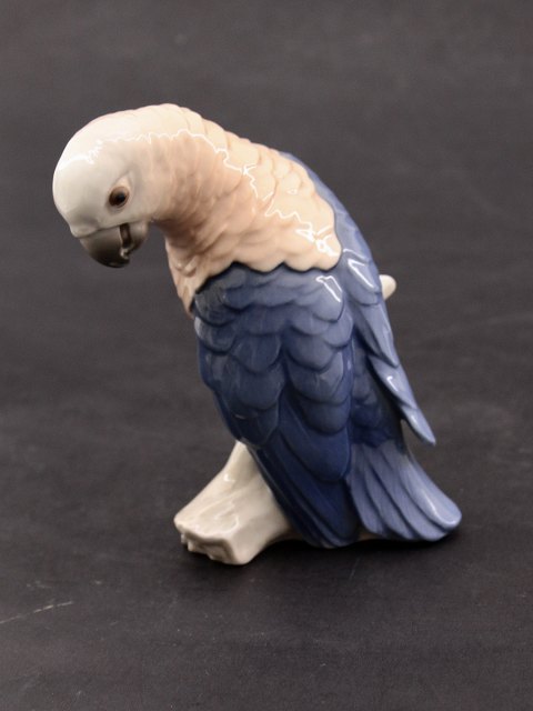 B&G papegøje no. 2019