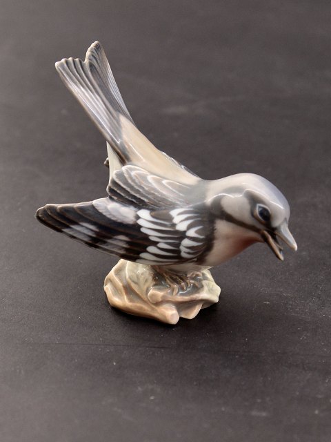 Dahl Jensen bird 1320