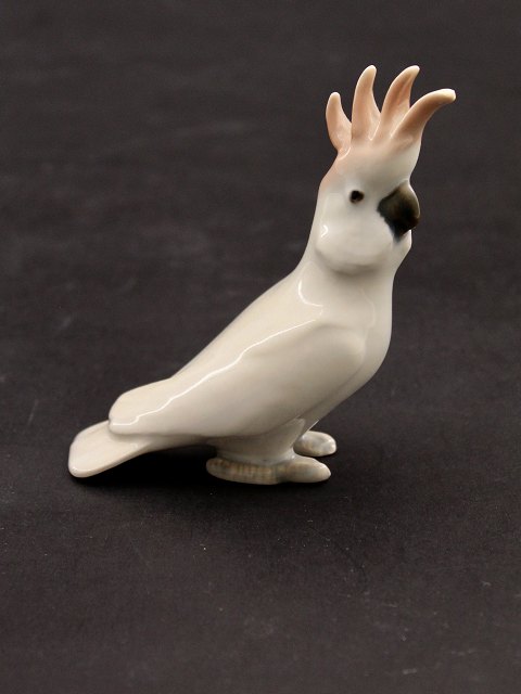 B&G kakadue no. 2178