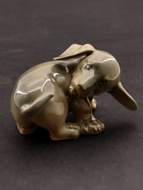 Royal Copenhagen dachshund 1041