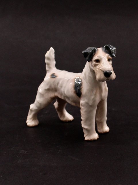 Bing & Grøndahl  Ruhåret Foxterrier 1998