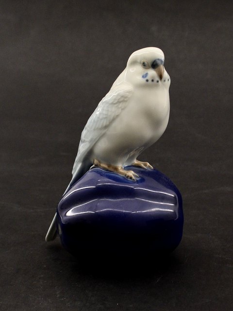 Royal Copenhagen 4682 Budgie