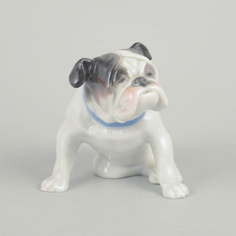 Europæisk porcelænsfigur, fransk bulldog.